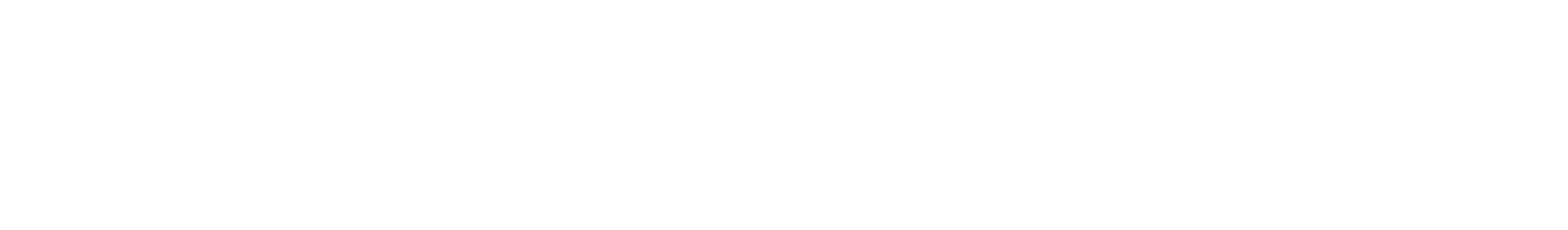 logo more leads pro white